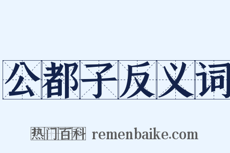 公都子反义词是什么意思的图片